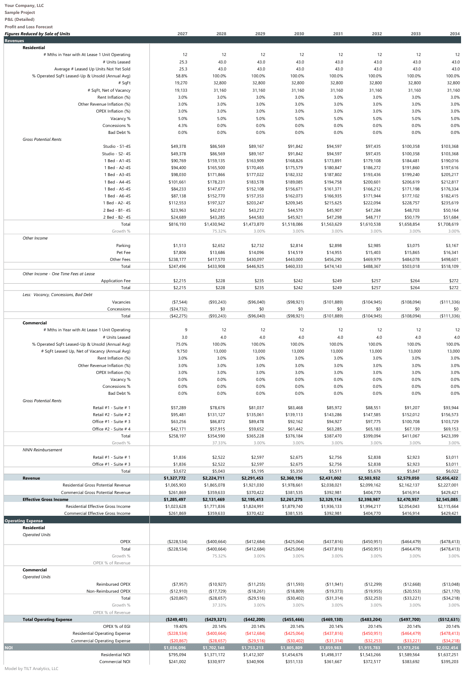 Detailed pro forma profit and loss statement with revenues and operating expenses by year
